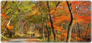 전남 곡성군, 가을여행 숙박 요금 할인