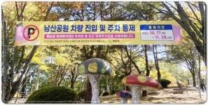 전남 화순군, 국화향연 개최로 ‘군민회관 주차장 통제’