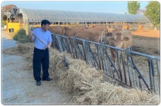 전남도, 전국한우능력평가대회 4년 연속 수상