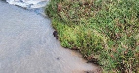 [단독] 음성군, 이번엔 ‘상상대로 흙탕물?’