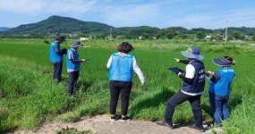 순창군, 친환경 농산물 생산장려금 지원