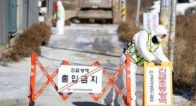 천안 종오리농장에 조류인플루엔자 발생