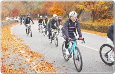 제2회 전라남도지사배 곡성 전국산악자전거대회 단풍 라이딩