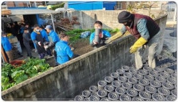 전남 보성군 벌교읍, 취약계층 대상 사랑의 연탄나눔 봉사활동 펼쳐