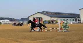 익산시, 전국규모 승마대회 성공 개최...말산업 선두