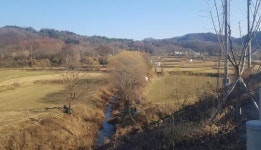 전라북도의 보물 옥정호 인공습지 조성한다