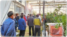 전남 진도군 농업기술센터, ‘원예작물 시범사업 결과 평가회’ 개최