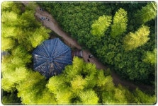 전남 담양군 관광 1번지 죽녹원, ‘한국관광 100선’ 5회 연속 선정