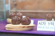1억원 짜리 귀족호도 보셨나요 관람객들에게 큰 인기(사진+영상)