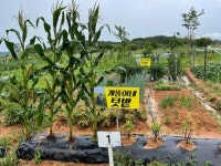 전남도농업박물관, 주말농장 분양 대폭 확대