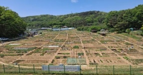 수성구, 2023년 ‘공영도시농업농장’ 분양하세요