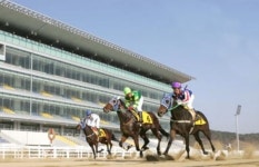 렛츠런파크 부산경남, 3월 경마시행계획 발표