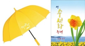 봄의 섬 선도! “섬 수선화 축제” 3월 30일 개막