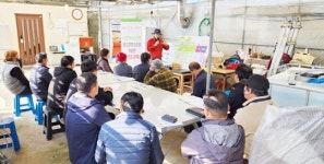 전남 함평군, 고품질 샤인머스켓 생산 ‘총력’