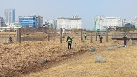 ‘탁 트여서 좋다’ 나주시, 혁신도시 호수공원 4곳 갈대·부들 제거