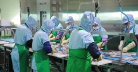 군산시, 새만금 수산식품 수출가공 종합단지 입주희망 업체 모집