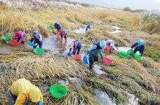 전남도, 경로당 공동작업장 34곳에 1억4천만원 지원