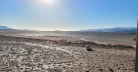 부안해양경찰서, 「바다 숲」 보호 예방 대책 추진