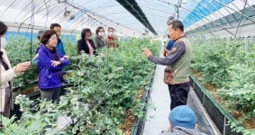 전남 곡성군, 제13기 명품농업대학 블루베리반 현장교육 실시