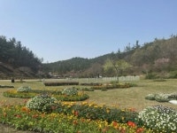 전남 화순군, 고인돌 축제 기간 펫존 운영