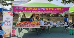 고인돌무장고구마작목반영농조합법인 | 화순 고인돌 축제, 지역농산물 홍보·판매로 농가소득 증대