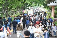 [포토]함평나비대축제장,궂은 날씨에도 관광객 북적