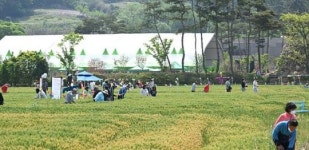 전남 영광군 군남면, 제9회 영광찰보리문화축제 성황리 마쳐