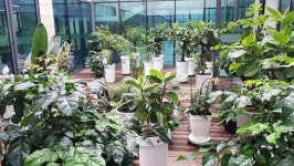 전남 장성군 북이면 행정복지센터 중정에 ‘작은 정원’ 마련