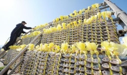 영광굴비, 지리적표시제 등록 큰 산 넘었다