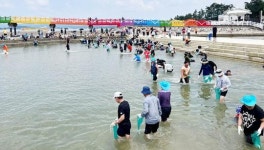 전남 함평군, 돌머리해수욕장 뱀장어 잡기 체험 행사 성황