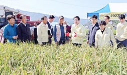전남 고흥군, 올해 벼‘첫 수확’ 햅쌀 시장 선점