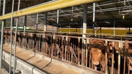 전남 나주시 “축산농가, 여름철 폭염 이렇게 관리하세요”