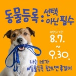 전남 강진군, 반려동물 자진신고 기간 8.7~9.30 운영