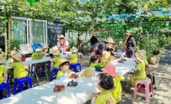 전남 함평군 송송이 팜 포도농원,어린이들 체험학습장 인기