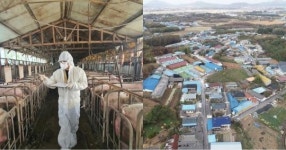 익산 왕궁 학호마을 축사매입 속전속결 마무리