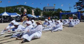 포항 송라면 앉은줄다리기 아시나요?
