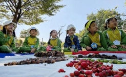 [포토]광주시 북구, 어린이 대상 유아숲 체험원 운영