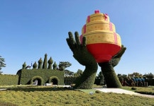 전남 함평군, 2023 대한민국 국향대전 맞이 깜짝 이벤트 실시