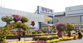 [대구소식]대구수목원, 동대구역 광장 국화전시회 개최