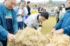 전남 순천시,제24회 순천만 갈대 축제 성황리에 마무리