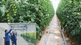 전남농기원, 기후변화 대응 방울토마토 경영모델 선봬