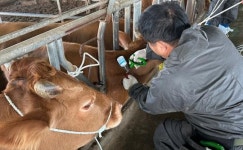 전남 보성군, 소 럼피스킨병․고병원성 AI 대비 통합 방역 관리 추진