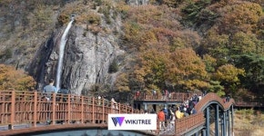 전남 담양군, 문화 담은 풍성한 콘텐츠로 ‘관광 르네상스’ 도약