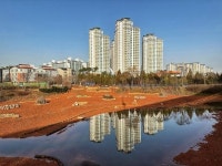 인천 부평구, 멸종위기종 서식처 부들공원 복원 마무리