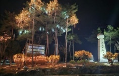 전남 장흥군 부산면, ‘빛의 거리 조성’