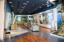 신안철새박물관과 새공예박물관 지난해 1만 명 방문~ 신안군 랜드마크로 부상