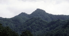 4일 영월 백덕산서 발생한 사망 사고, 헬기까지 출동했지만 끝내…