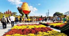 대한민국 대표 가을축제,‘대한민국 국향대전’, 전남도 대표 최우수 축제 선정