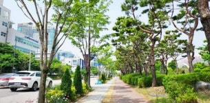 광주시 도시숲 25곳 추가 조성…‘푸른도시’로 거듭난다