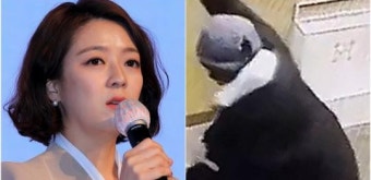 '배현진 습격' 중학생, 범행 전 충격적인 행적 발각…소름 돋는 준비 과정 목격